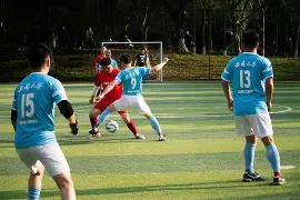 九游全站app - 排球少年欧台和乌野 